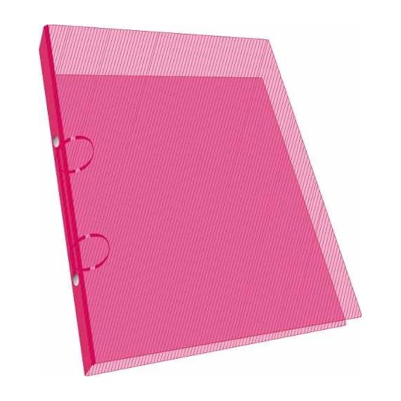 CARPETA A4 2 ANILLOS 40MM TRANSPARENTE POLIPROP. THE-PEL