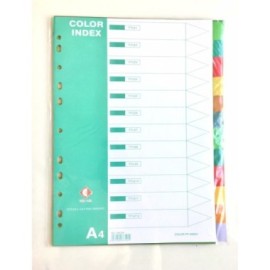 CARATULAS PLASTICAS A4 12 POSICIONES COLOR