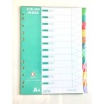 CARATULAS PLASTICAS A4 12 POSICIONES COLOR